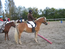 LF HSC - 0903_web